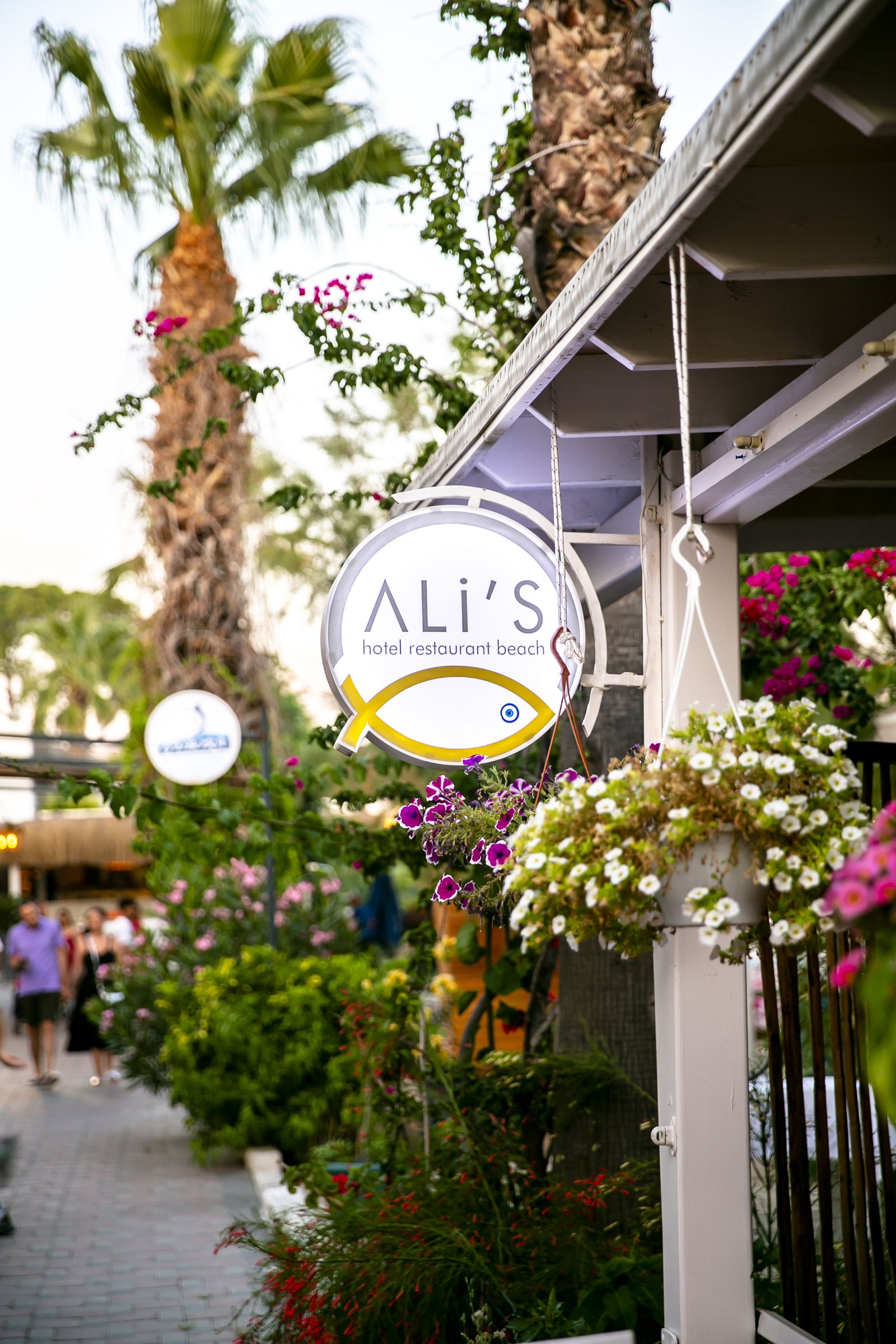 Alis Beach-4